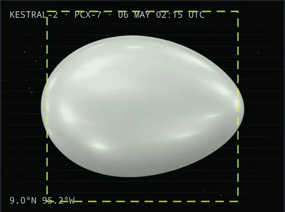 A sighting photograph of a smooth, pale, egg-shaped object with no visible features.